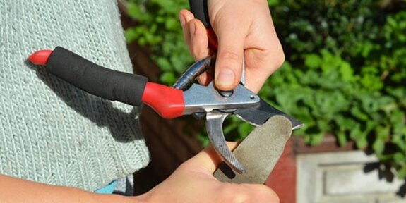 Person schärft eine Gartenschere mit einem Schleifstein im Freien.