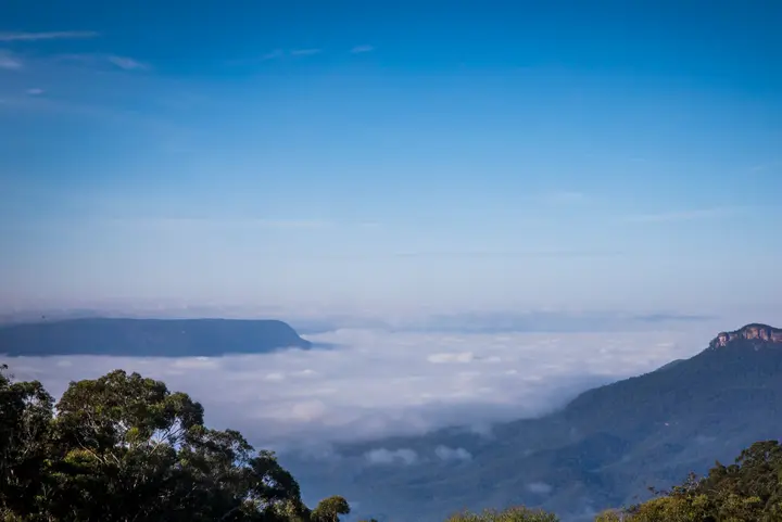 Leura