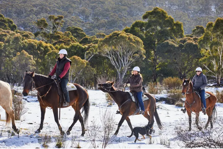 Thredbo thumbnail