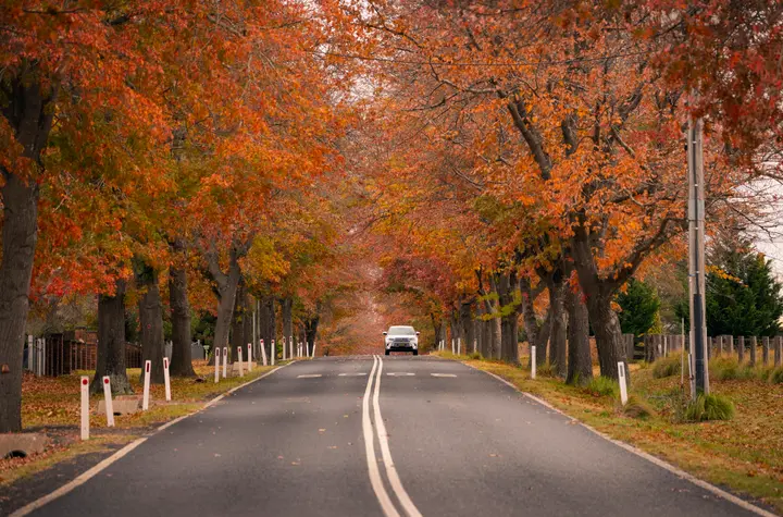 Tenterfield thumbnail