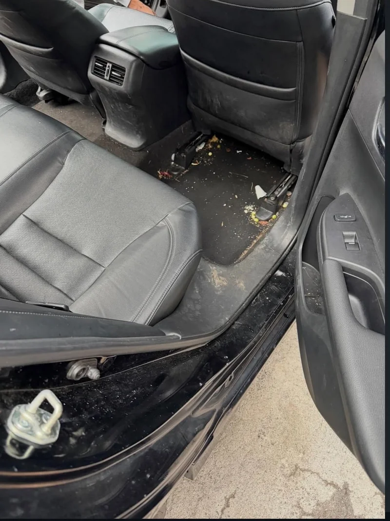 Back Seat Revival — before interior detail