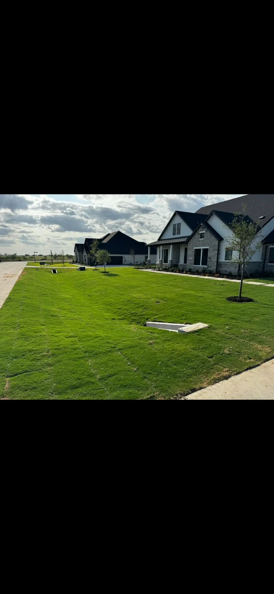 New sod installation across the front lawn of a newly built home