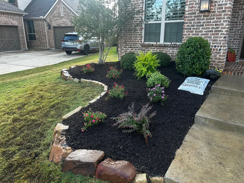 Finished front-yard landscape with stone edging and ornamental plants