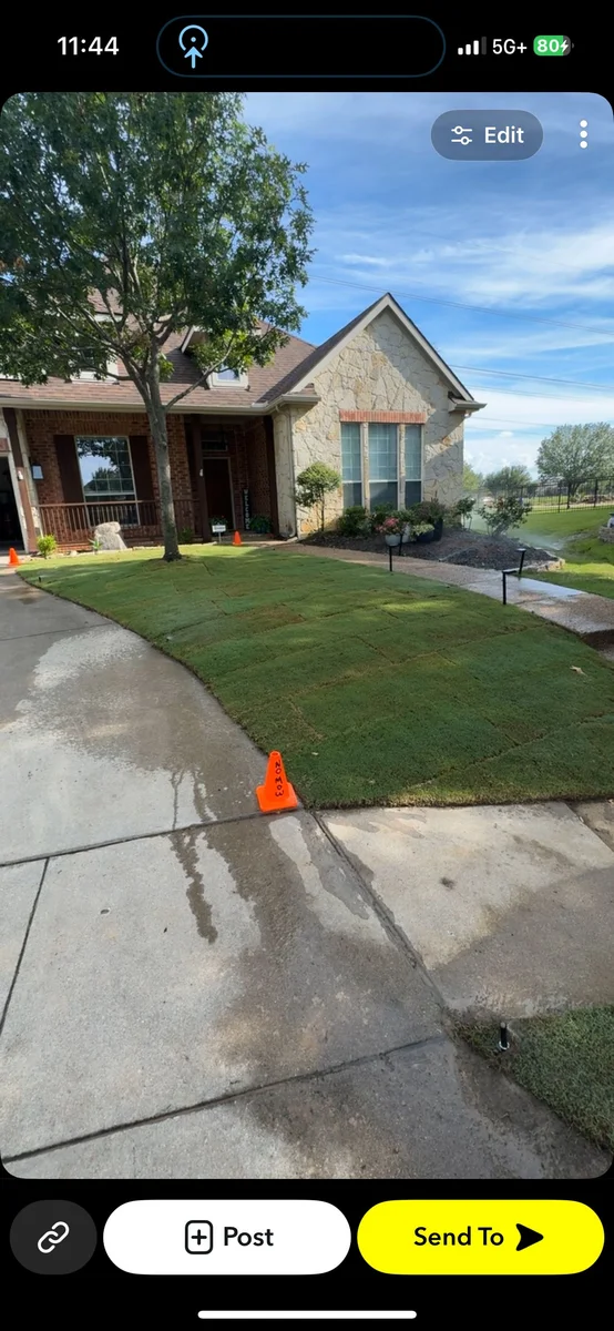 Completed sodded front yard with tidy landscape edging