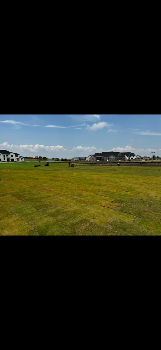 Sod installation work underway across a large residential lawn
