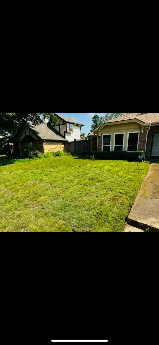 Freshly installed green sod lawn in front of a Texas home