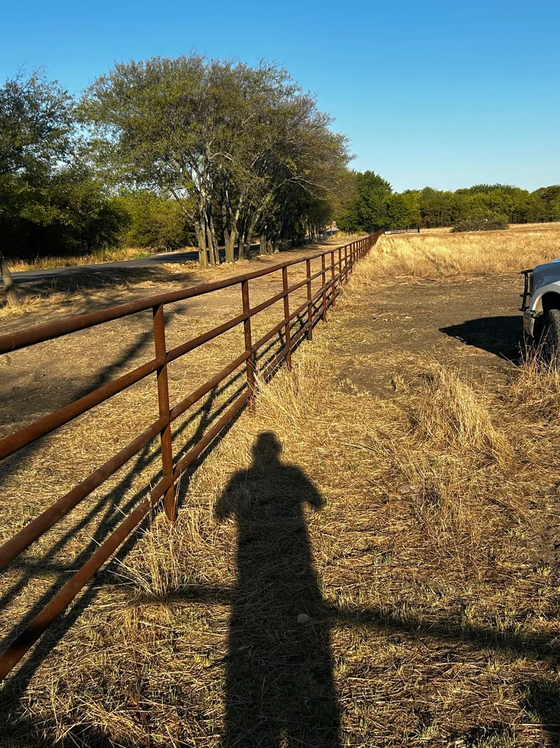 Long rust-colored metal rail fence beside a tree-lined drive