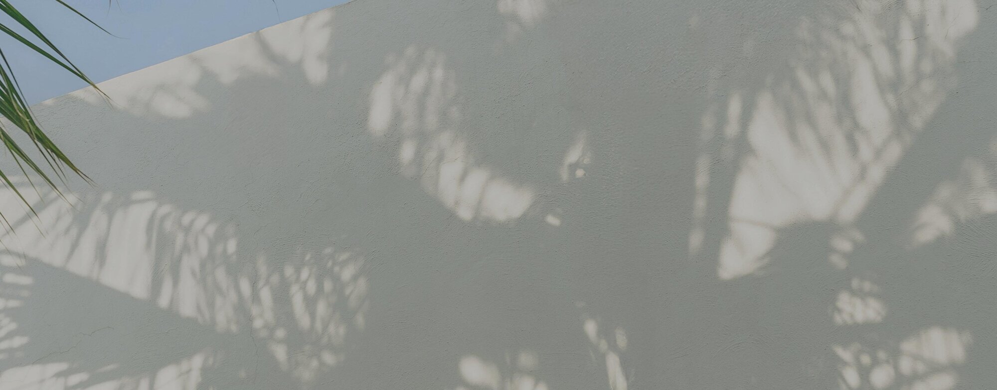 Solid color background in pale khaki