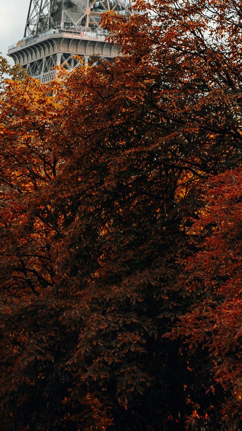 Parisian autumn backdrop. The Fall Event - 20% Off Sitewide.