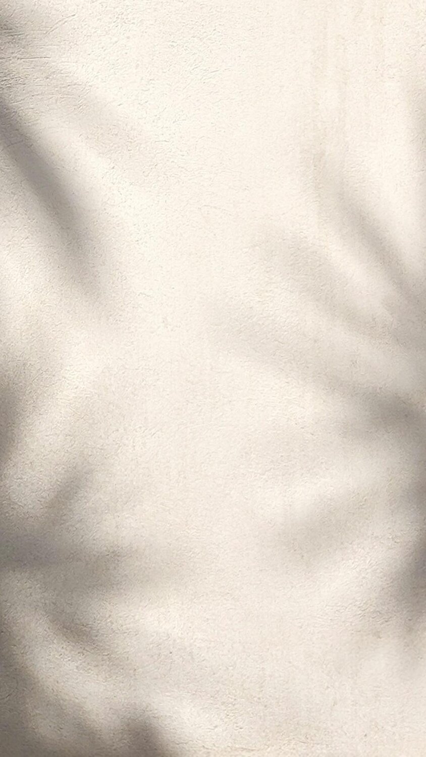 Image of cream colored wall with shadows of palm fronds. Semi-Annual Sale - Up to 50% Off