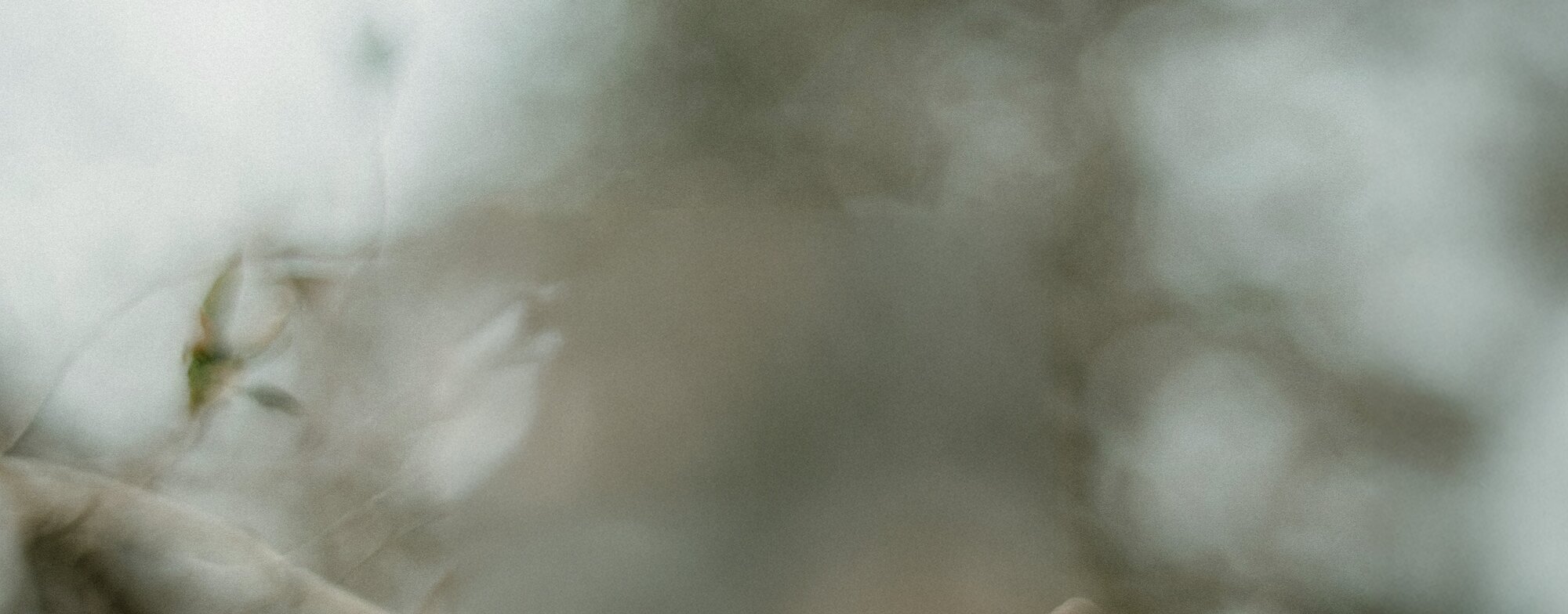 Floral twig backdrop. Semi-Annual Sale Last Chance - Extra 30% Off