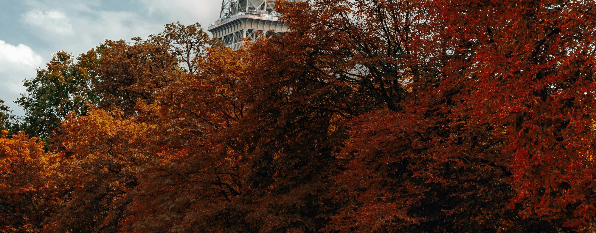 Parisian autumn backdrop. The Fall Event - 20% Off Sitewide.