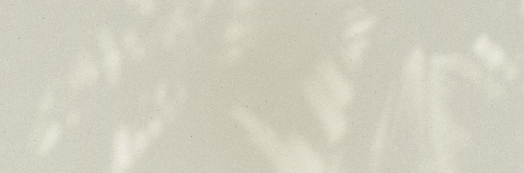 Light cream wall backdrop with palm tree shadows. Semi-Annual Sale - Up to 40% Off