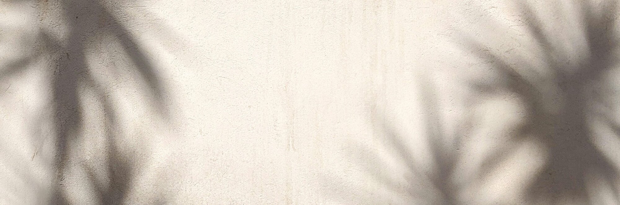 Image of cream colored wall with shadows of palm fronds. Semi-Annual Sale - Up to 50% Off