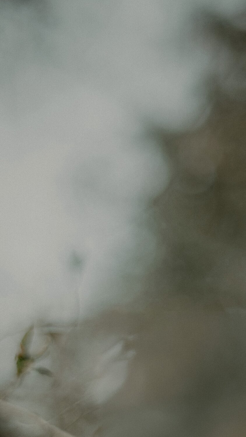 Floral twig backdrop. Semi-Annual Sale Last Chance - Extra 30% Off