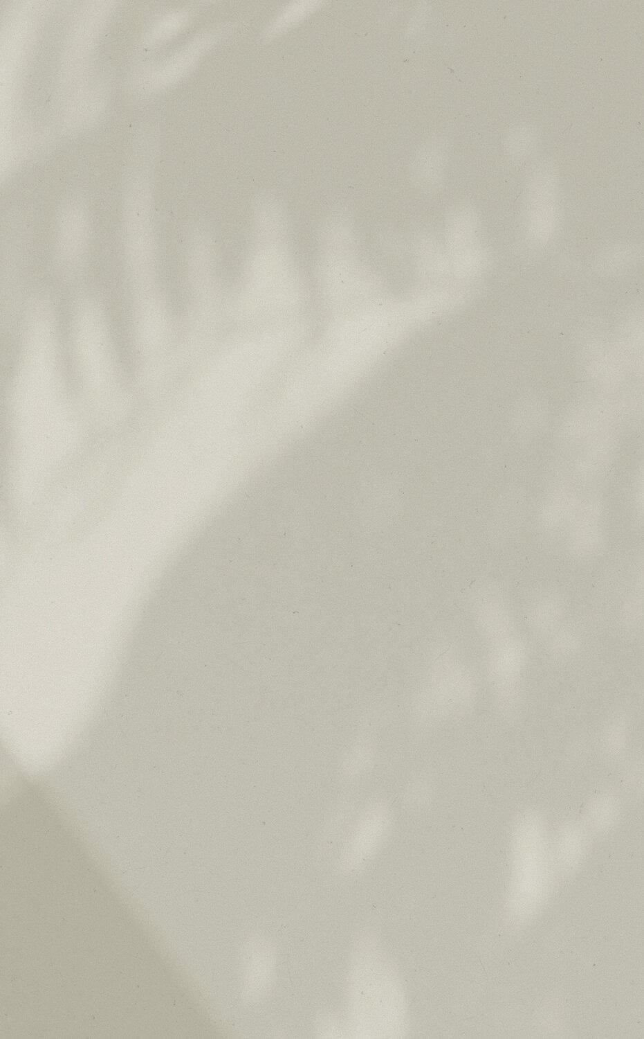 Image of a beige wall with shadows: UP TO 50% OFF // Semi-Annual Sale