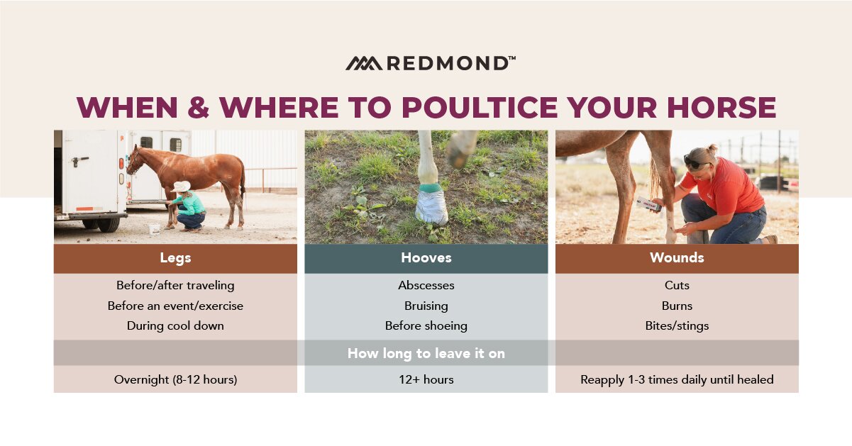 Poultice Your Horse