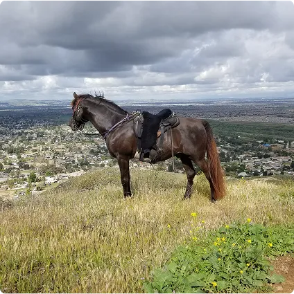Shelby and her Arabian K-Love