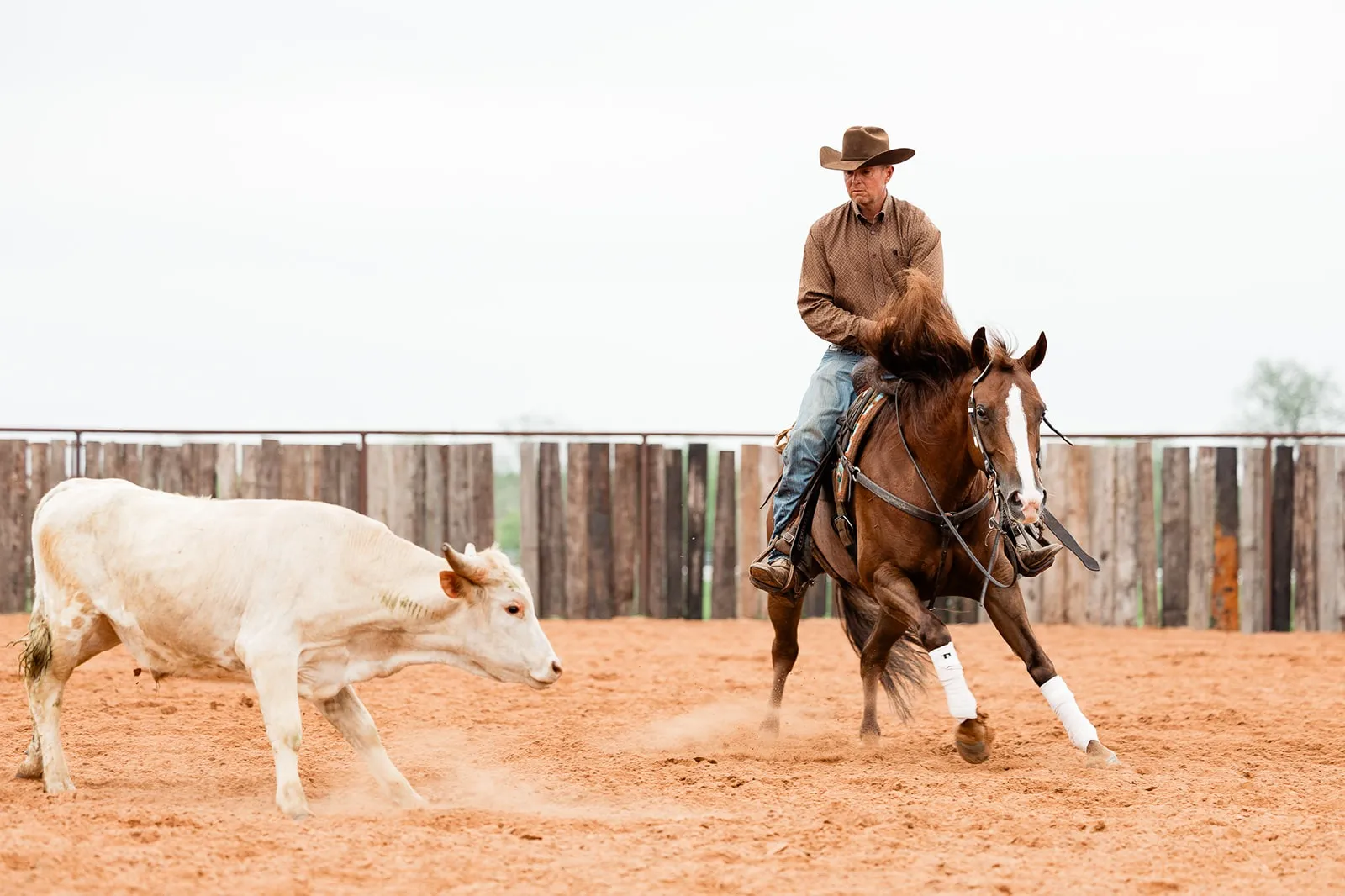 A horse and woman rider in the Redmond influencer affiliate program.