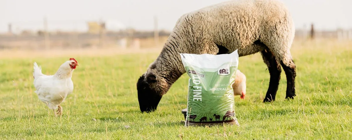 Soil Products