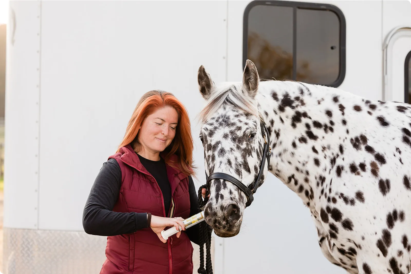 A horse and woman rider in the Redmond influencer affiliate program.