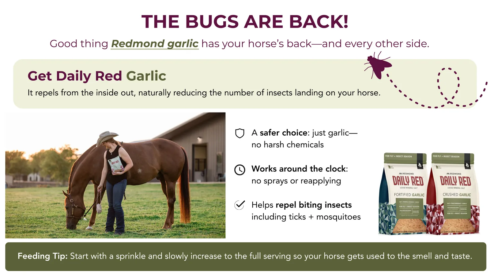 Premium Equine Product