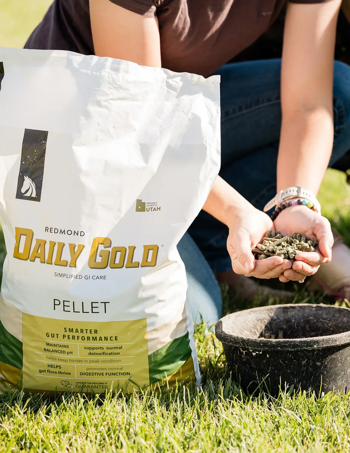 What are the benefits of bentonite clay for horses?