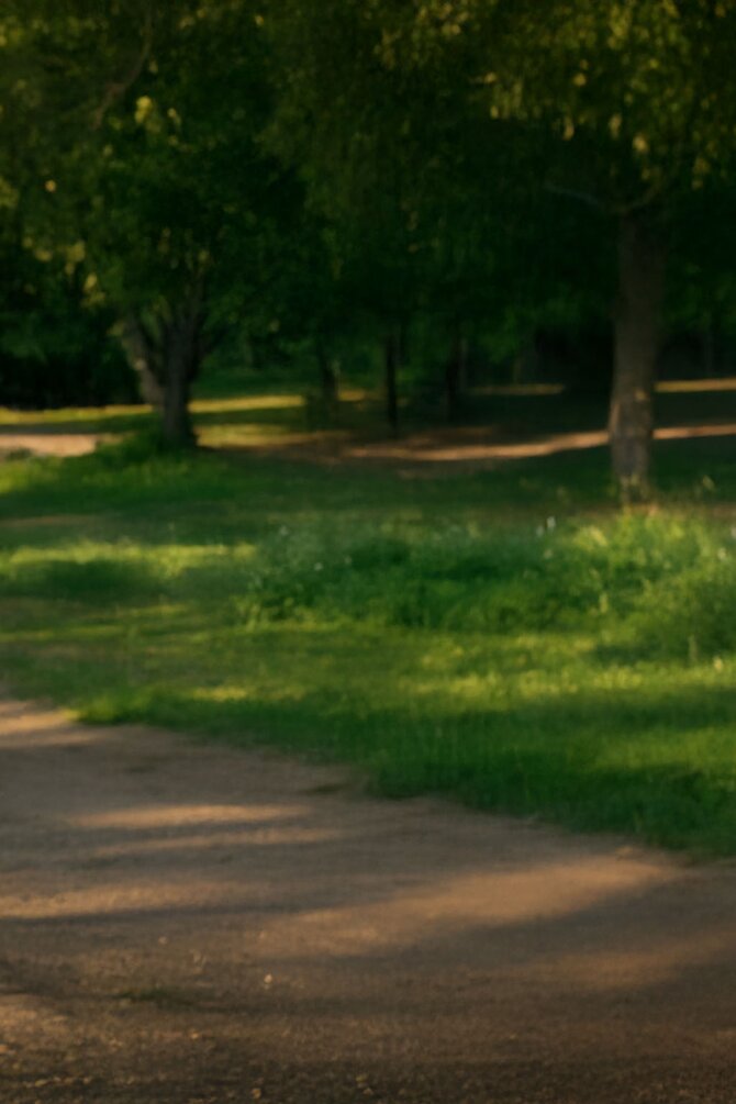 Uskarp park i morgensol – bakgrunn brukt for å fremheve Tracker Original Hettegenser. 