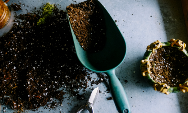 Soil
