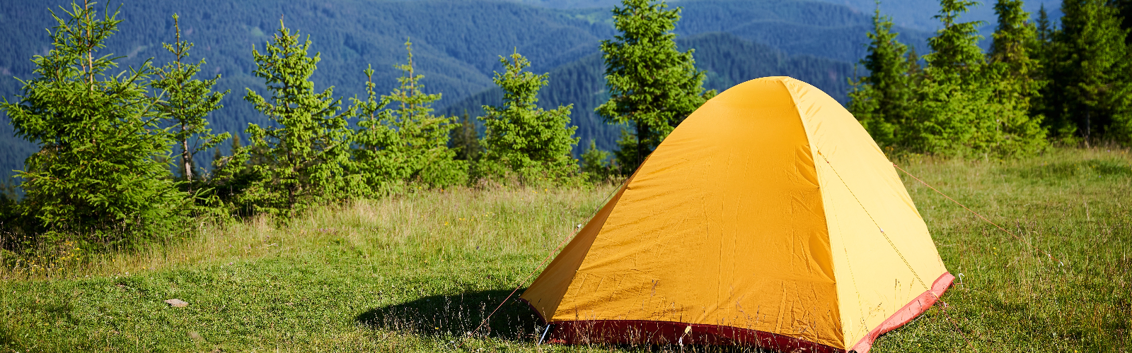 camp tent