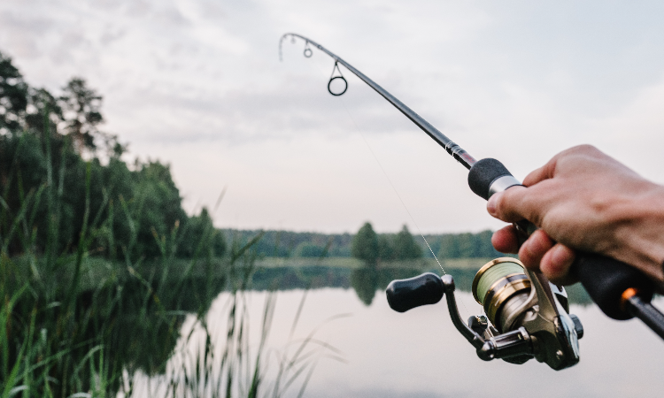 Fishing rod