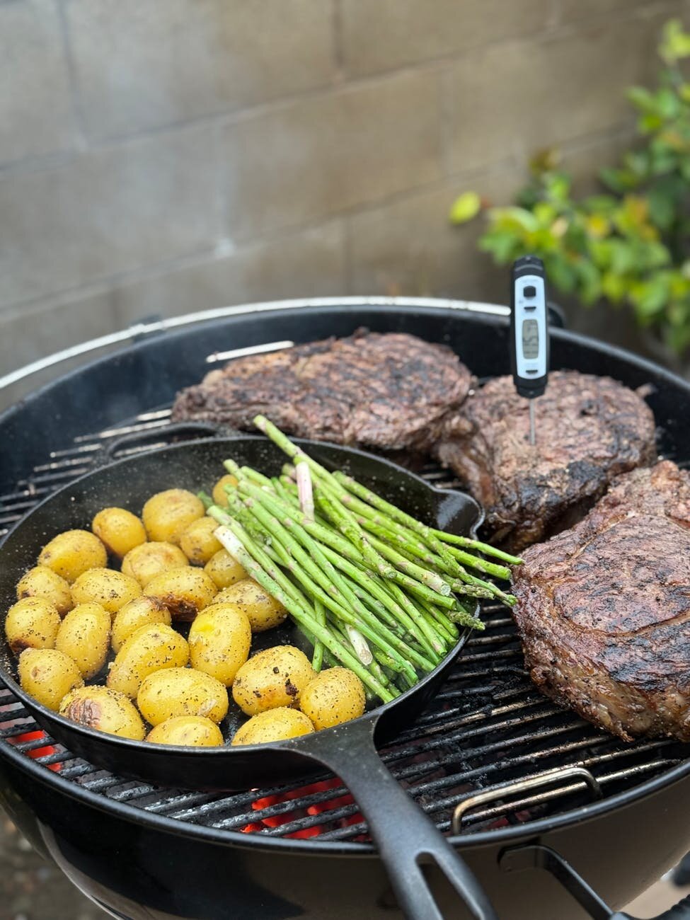 So misst du die Kerntemperatur richtig 