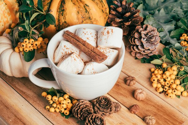 Was ist Pumpkin Spice? Der ultimative Guide zum herbstlichen Kultgewürz