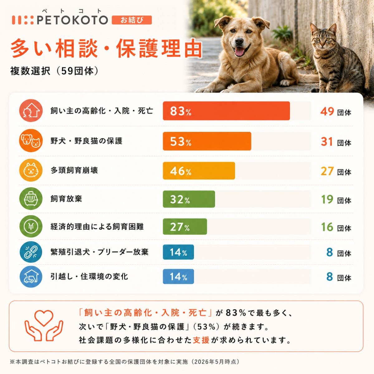 多い相談・保護理由のグラフ