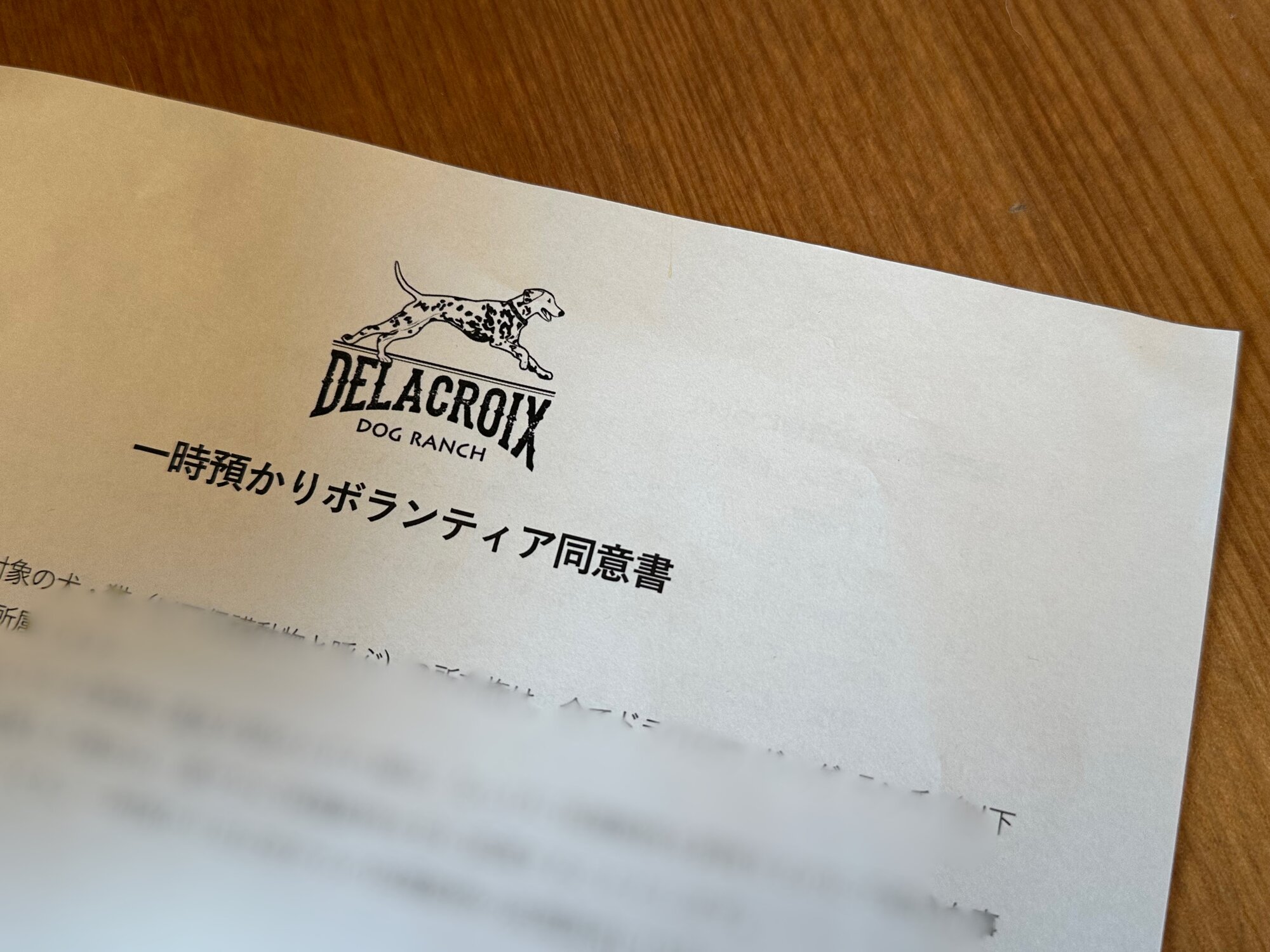 一時預かりボランティアの同意書