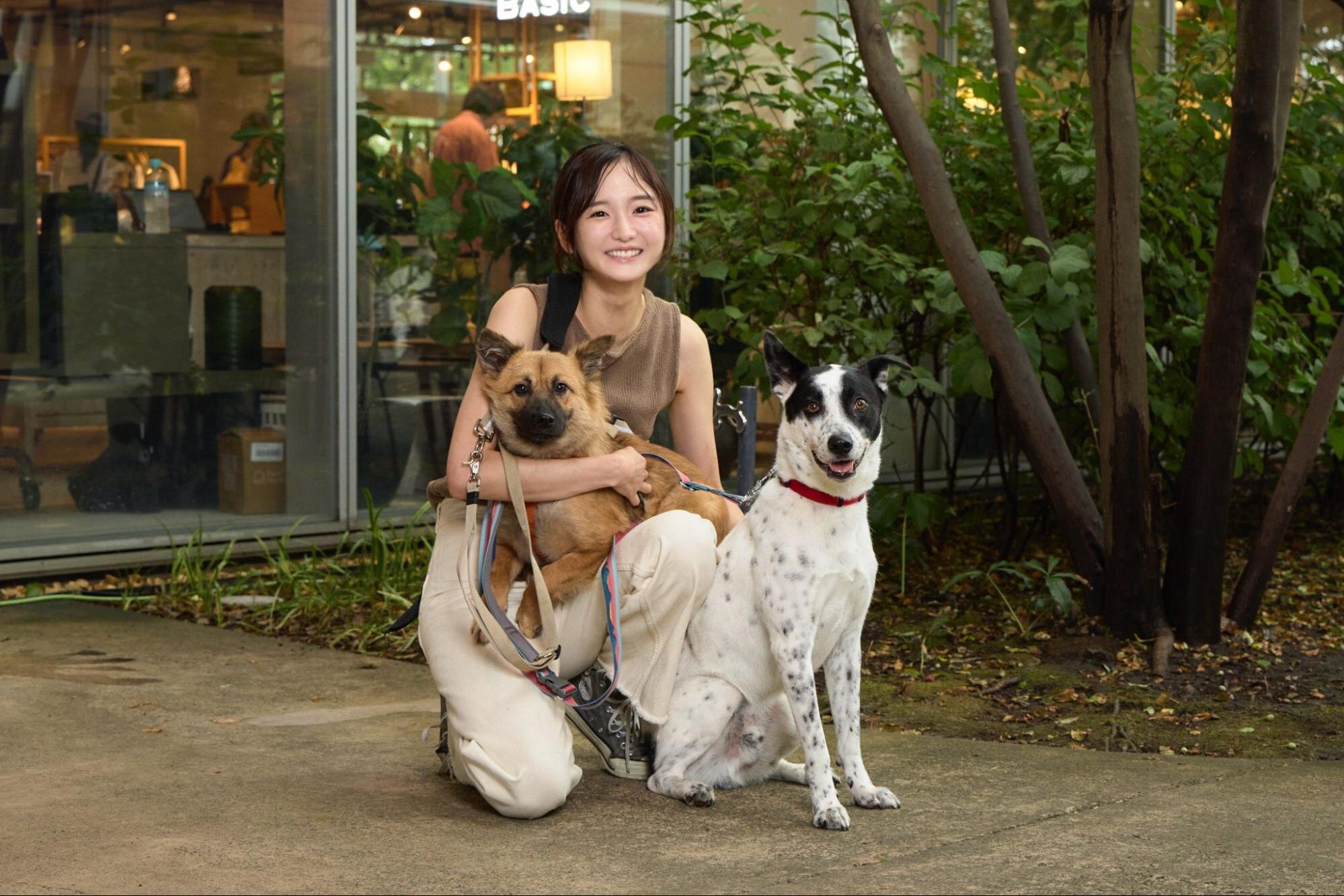 預かりボランティアで預かった保護犬と愛犬と飼い主