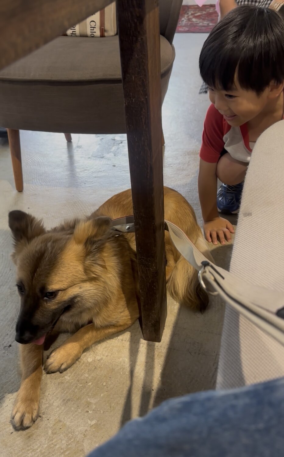 お見合いの様子