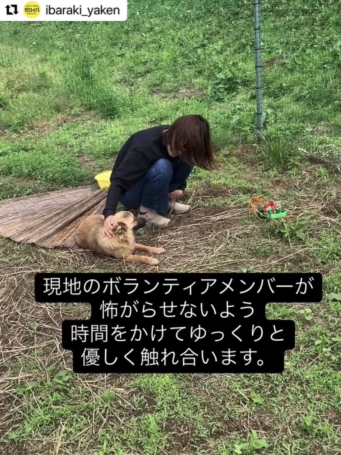 サミット捕獲時の様子