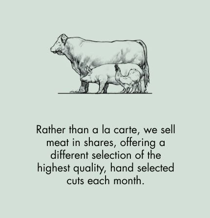 image of cows - we sell meat in shares