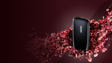 Ploom dan zaljubljenih