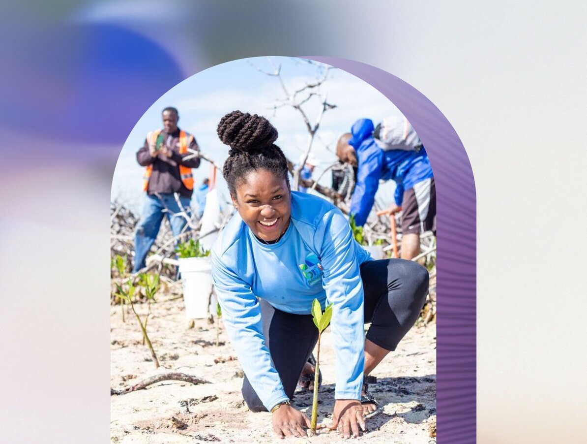 [placeholder] - this must be updated