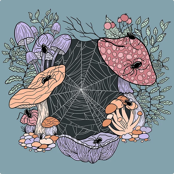 Illustration of a spider web between mushrooms