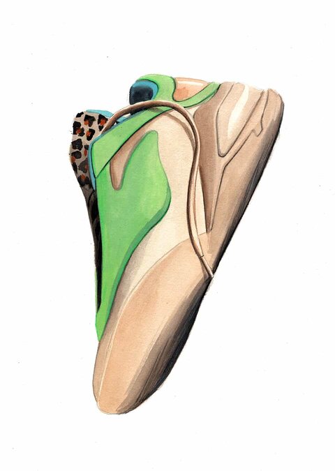 Shai 001 Cheetach