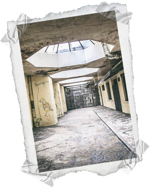 Converse Cave Project