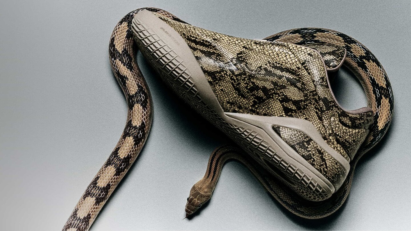 Converse Shai 001
