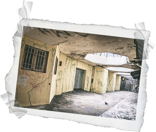 Converse Cave Project