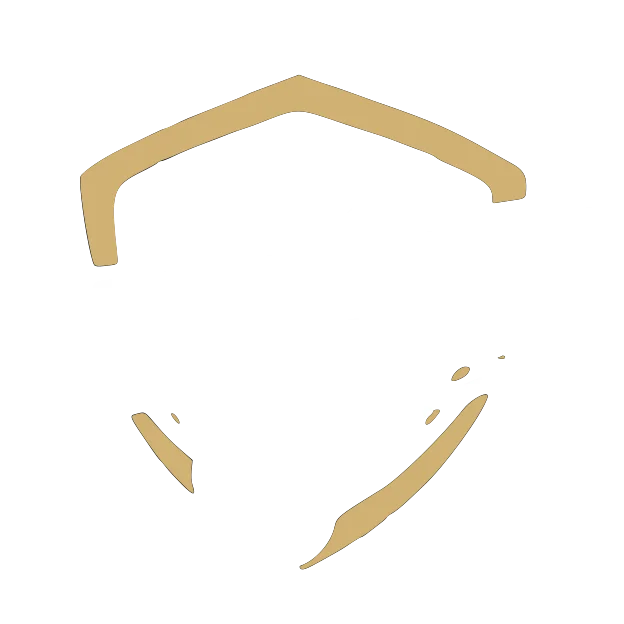 ShineCar