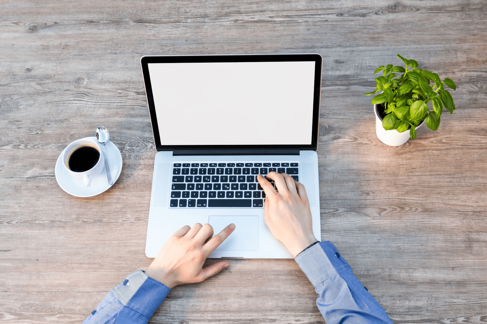 Man on a computer with a potted basil plant on the desk