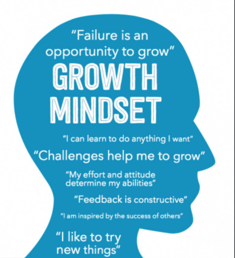 Figure 4: Growth Mindset