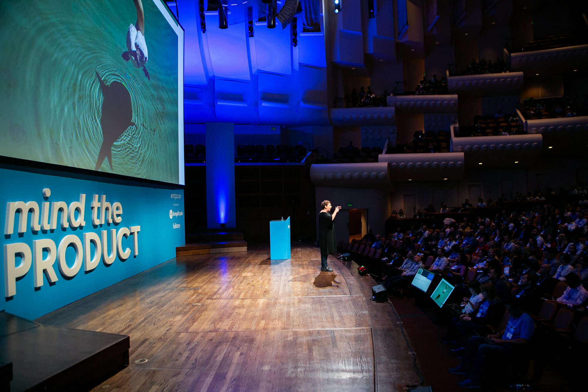 Leisa Reichelt shows how different a duck looks from its shadow